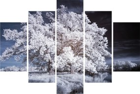 Obraz - Snehobiely strom (150x105 cm)