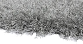 Koberce Breno Kusový koberec RHAPSODY 25-01/906, strieborná,80 x 140 cm