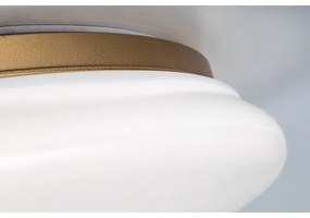 Rabalux 75053 - LED kúpeľňové stropné svietidlo CALIOPE LED/24W/230V IP44 pr. 41 cm