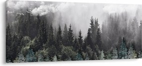 Obraz - Les s ilustrovanými prvkami (120x50 cm)