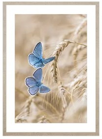 Obraz modré motýle BLUE NATURE II 53 x 73 cm