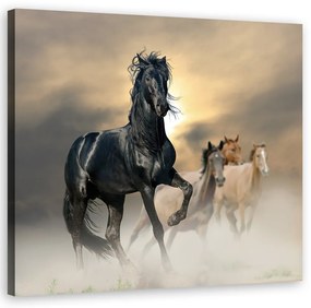 Obraz na plátně, Stádo koní - 30x30 cm