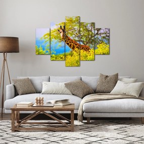 Obraz žirafy v Afrike (150x105 cm)