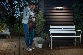 BUSTAN IR myGarden 2x4,5W 2700K IP44 LED fasádne svetlo so senzorom pohybu antracit PHILIPS