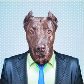 Obraz tlačený na plátne 40x40 PRC976