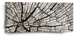 Sablio Obraz Drevo - 110x50 cm