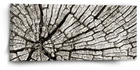 Sablio Obraz Drevo - 110x50 cm