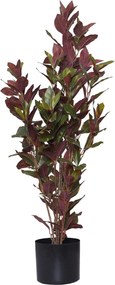 Umelý červený fikus GOMMA, plast, výška 90 cm, zeleno-červená