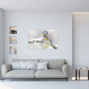 Obraz - Sýkorka modrinka v lese (90x60 cm)