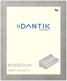 DANTIK rám na obraz 40x50 | ANDRÉ velká stříbrná (Plexi Čiré)