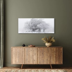 Obraz - Biela zima (120x50 cm)