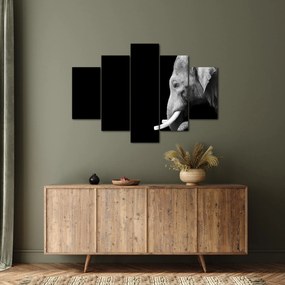 Obraz - Slon (150x105 cm)