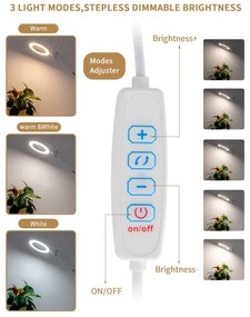 Brilagi - LED Stmievateľná stolná lampa s lupou LED/12W/5V 3000/4200/6000K biela