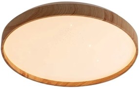 Rabalux 71144 - LED Stropné svietidlo LEANA LED/24W/230V 3000K pr. 38 cm