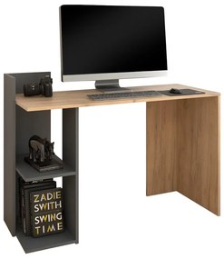 PC stolík Alamein (dub artisan + grafit) . Vlastná spoľahlivá doprava až k Vám domov. 1116231