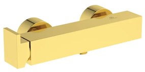 Ideal Standard Extra - Sprchová batéria nástenná, kartáčovaná zlatá BD512A2
