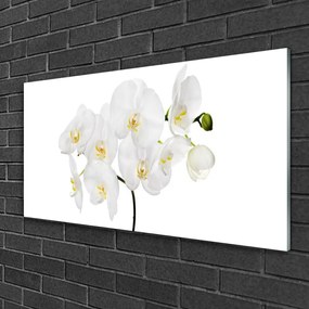 Skleneny obraz Biela orchidea kvety 120x60 cm