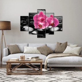 Obraz - Ružové orchidey (150x105 cm)
