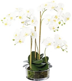 Umelá kvetina orchidea phalaenopsis v skle 50 cm biela
