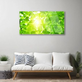 Skleneny obraz Listy príroda slnko rastlina 100x50 cm