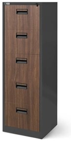 Skriňa Sara V005 kovová antracit/orech