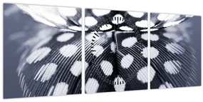 Obraz - Pierko (s hodinami) (90x30 cm)