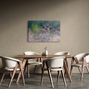 Obraz - Detail traviny (90x60 cm)