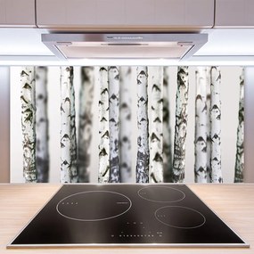 Sklenený obklad Do kuchyne Stromy príroda 120x60 cm