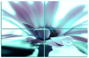 Obraz na plátne - Kvapka rosy na lúpeňoch kvetu 180FD (120x80 cm)