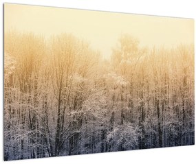 Obraz mrazivého lesa (90x60 cm)