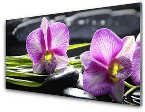 Obraz plexi Orchidea kamene zen kúpele 140x70 cm
