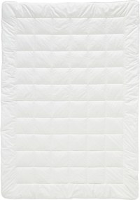 XXXLutz LETNÁ PRIKRÝVKA, 135/200 cm, polyester, duté vlákno Billerbeck - Prikrývky & vankúše - 003279010401