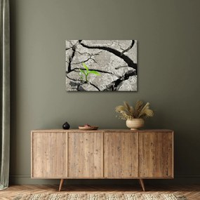 Obraz - Praskliny (70x50 cm)