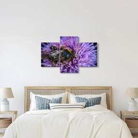 Obraz včely na kvetine (90x60 cm)