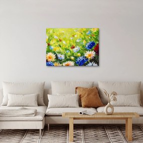 Obraz rozkvitnutej lúky, olejomaľba (70x50 cm)