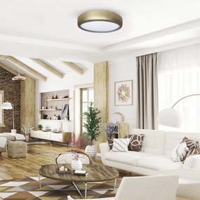 Stropné LED svietidlo Gea, 1x LED 36w, 3000-6000k, g, s ovládačom