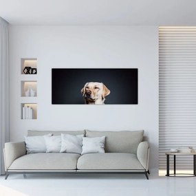 Obraz labradora (120x50 cm)