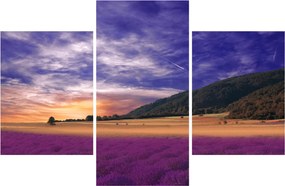 Obraz levanduľovej lúky (90x60 cm)