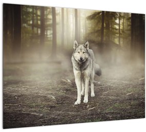 Sklenený obraz - Strážca lesa (70x50 cm)