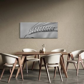 Obraz - Pšenica, čiernobiela (120x50 cm)