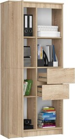 Kancelářská knihovna Rexa dub sonoma