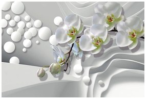 Tapeta orchidea na abstraktnom pozadí