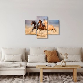 Obraz - Divé kone (90x60 cm)