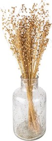Béžová kytica sušený ľan - 60 cm (100 gr)