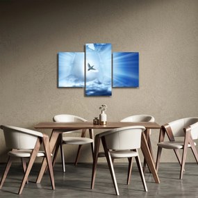 Obraz - Božia holubica (90x60 cm)