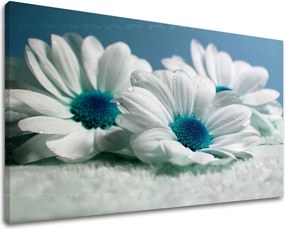 Obraz na stenu KVETY XOBKV126E11 - 20x30 cm