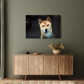 Obraz psa (90x60 cm)