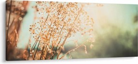 Obraz - Rastliny po daždi (120x50 cm)