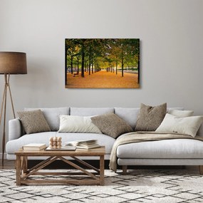 Obraz aleje jesenných stromov (90x60 cm)