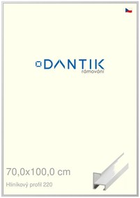 DANTIK rám na obraz 70x100 | ALU Bílá matná (Plexi Čiré)
